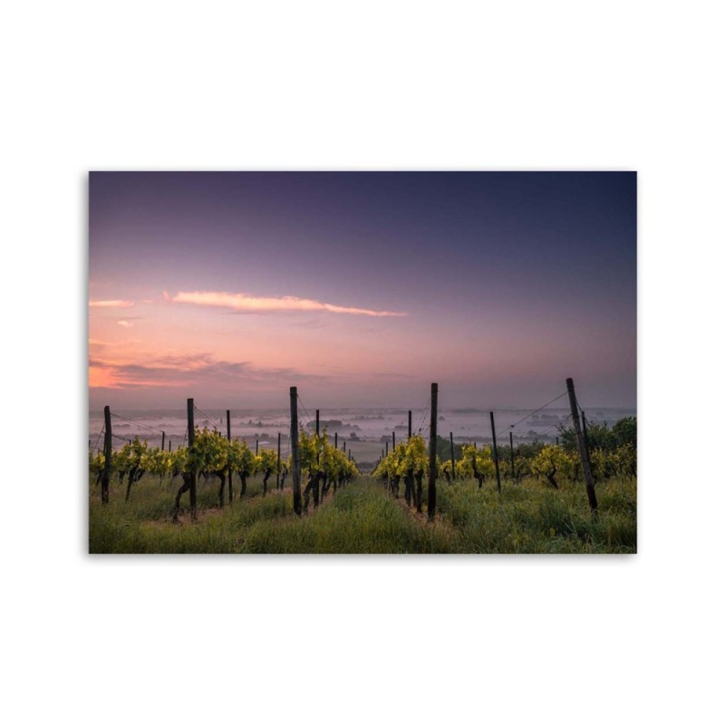 Leinwandbild - Weinbau | Feeby