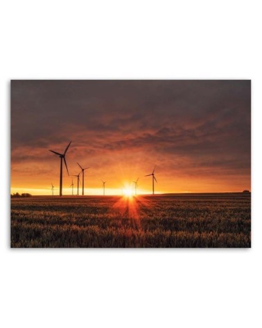 Bild auf Leinwand - Sonnenuntergang und Windmühlen | Feeby
