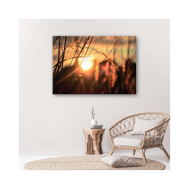 Leinwandbild modern - Ohren in der Sonne | Feeby