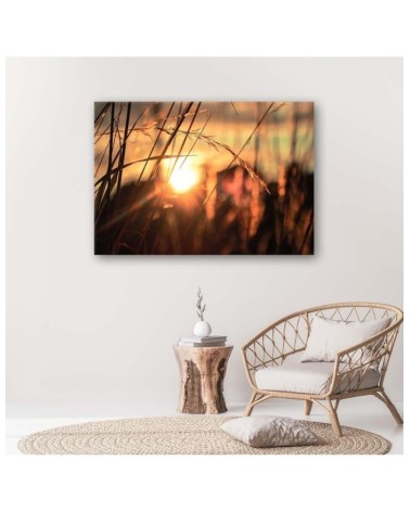 Leinwandbild modern - Ohren in der Sonne | Feeby