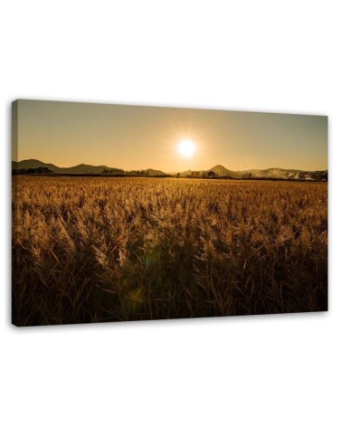 Modern Canvas painting for living room - Corn field and sunset | FEEBY