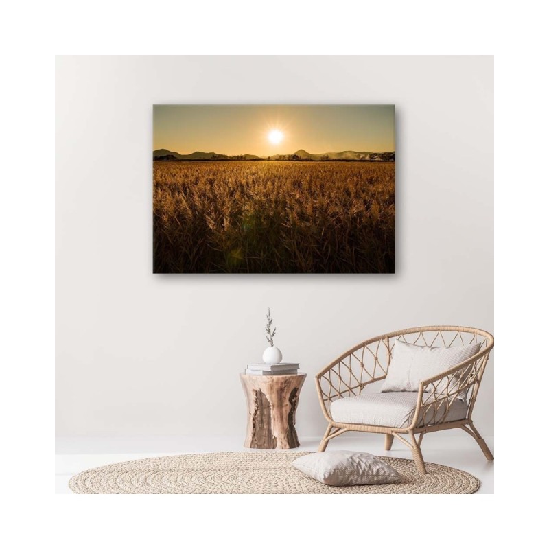 Leinwandbild - Maisfeld | Feeby