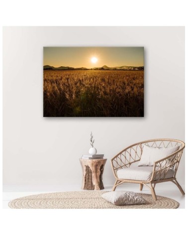 Leinwandbild - Maisfeld | Feeby