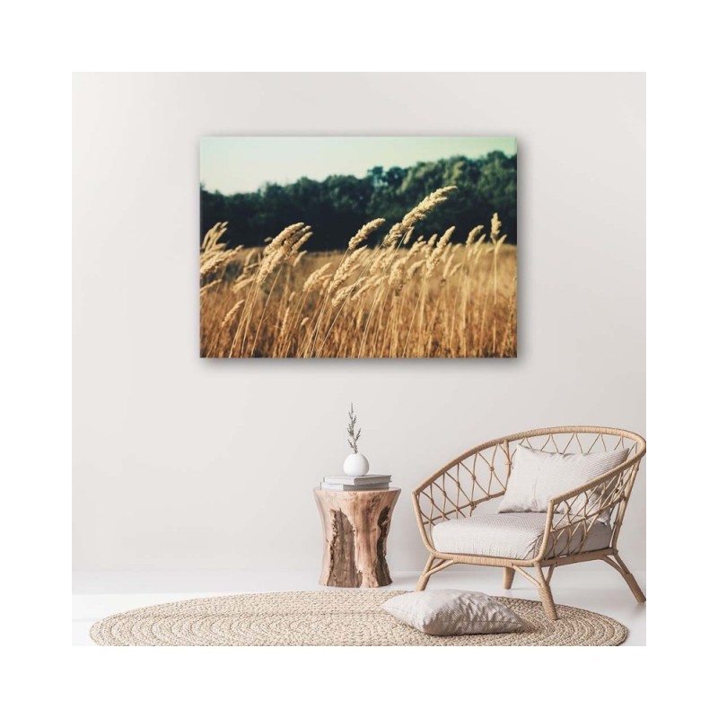Bild auf Leinwand - Reifes Korn | Feeby