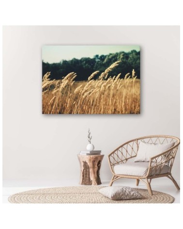 Bild auf Leinwand - Reifes Korn | Feeby