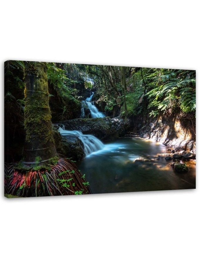 Dekoratives Leinwandbild - Wasserfall in den Tropen | Feeby