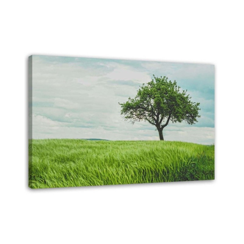 Leinwandbild - Baum auf einem Feld | Feeby