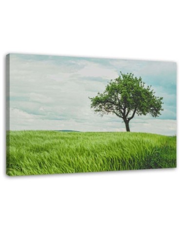 Green tree in a field - Modern Canvas painting for bedroom | FEEBY