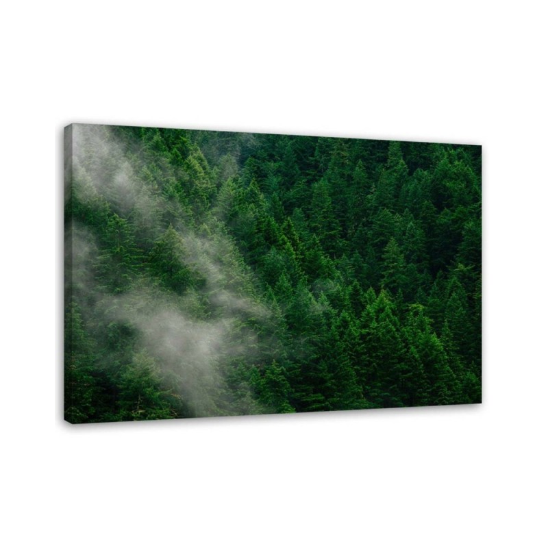 Wandbild für Wohnzimmer - Nebel über einem Wald | Feeby