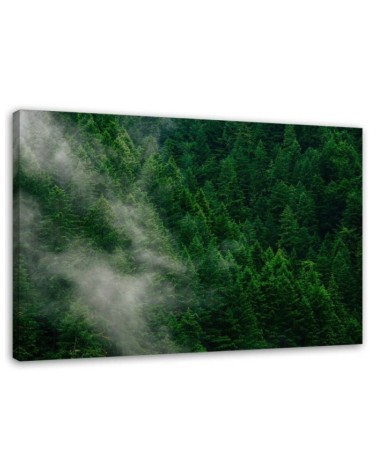 Wandbild für Wohnzimmer - Nebel über einem Wald | Feeby