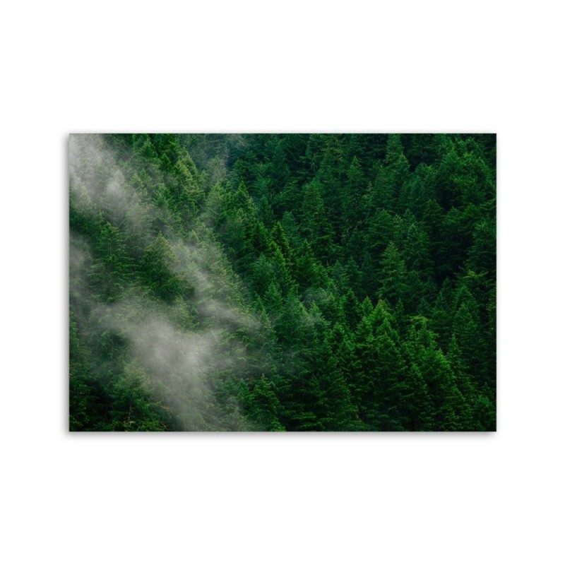 Wandbild für Wohnzimmer - Nebel über einem Wald | Feeby