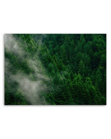 Wandbild für Wohnzimmer - Nebel über einem Wald | Feeby