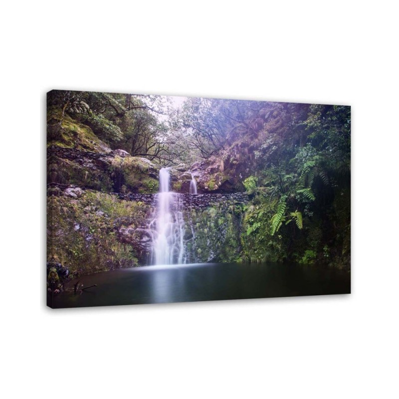 Leinwandbild - Wasserfall in einem Wald | Feeby