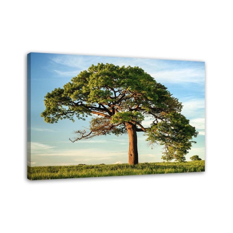 Modernes Wandbild - Großer Baum | Feeby