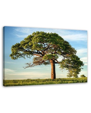 Modernes Wandbild - Großer Baum | Feeby