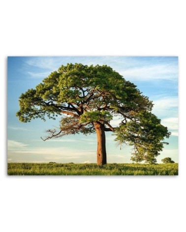 Modernes Wandbild - Großer Baum | Feeby