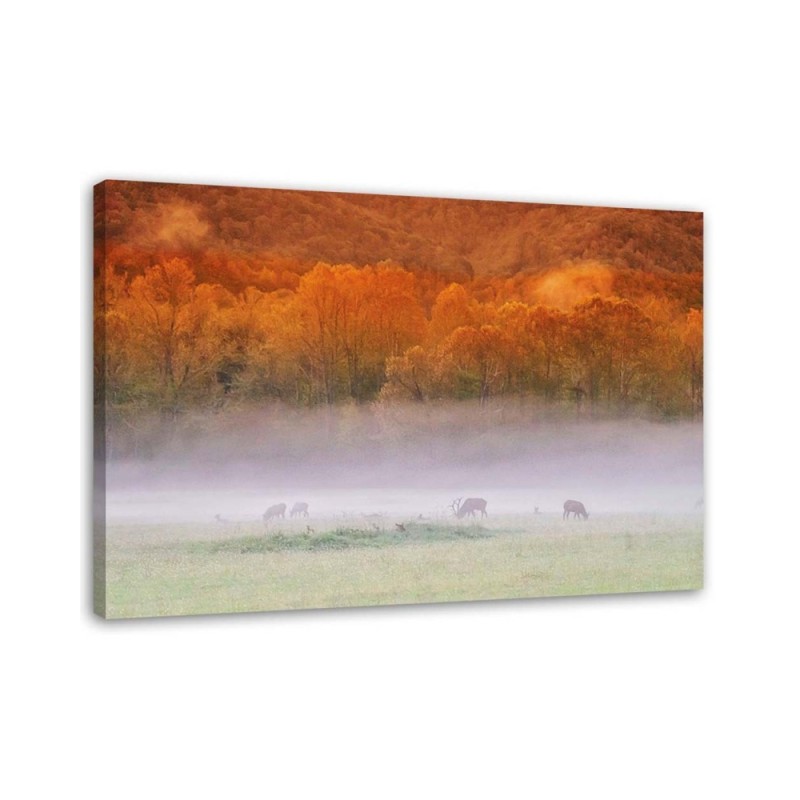 Modernes Wandbild - Nebel über einem tosenden See | Feeby