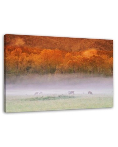 Fog over the roar - Canvas print | FEEBY