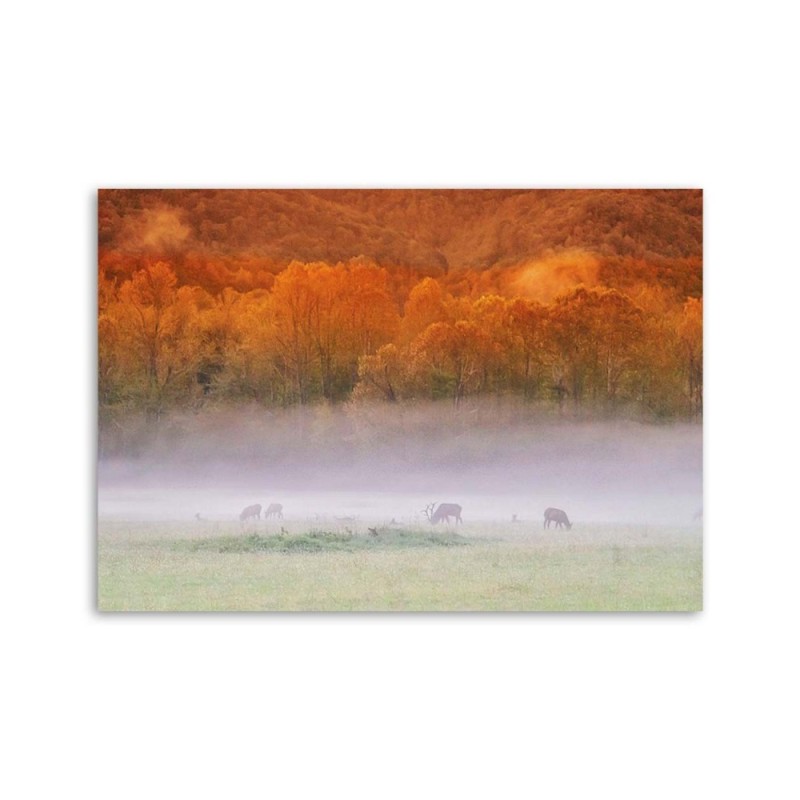 Modernes Wandbild - Nebel über einem tosenden See | Feeby