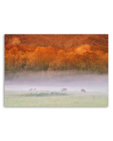 Modernes Wandbild - Nebel über einem tosenden See | Feeby