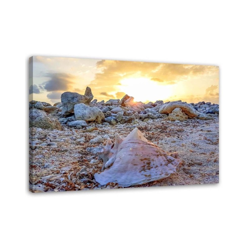 Dekoratives Leinwandbild - Muscheln und Steine | Feeby