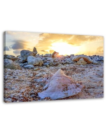 Dekoratives Leinwandbild - Muscheln und Steine | Feeby