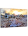 Shell and stones - Canvas print | FEEBY