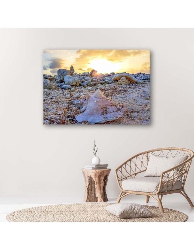Shell and stones - Canvas print | FEEBY