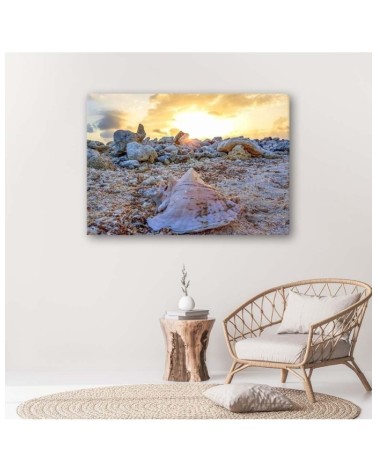 Dekoratives Leinwandbild - Muscheln und Steine | Feeby