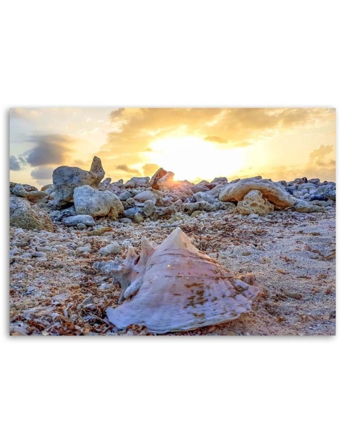 Shell and stones - Canvas print | FEEBY