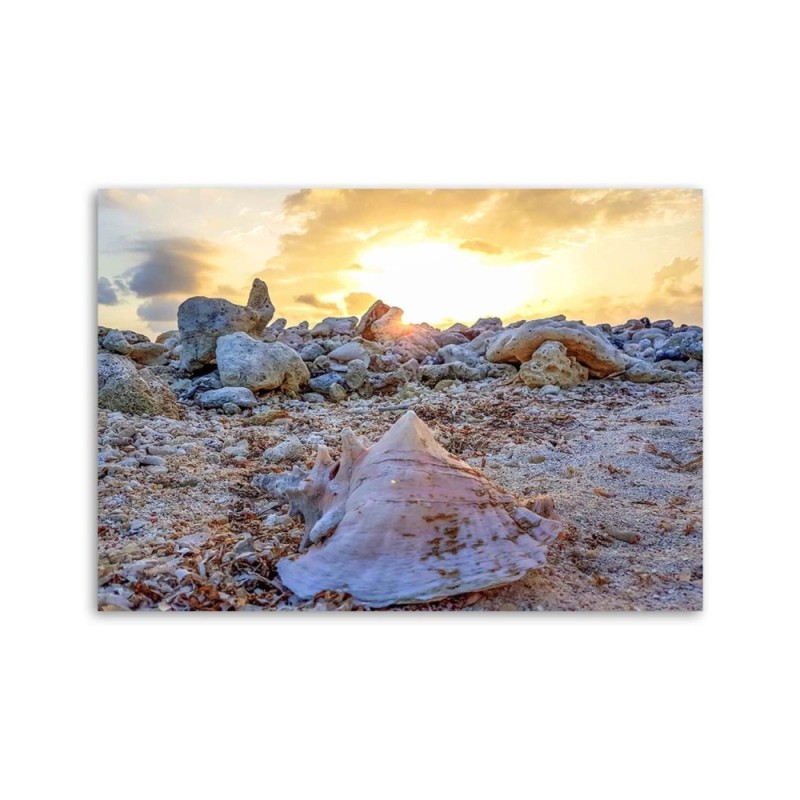 Dekoratives Leinwandbild - Muscheln und Steine | Feeby