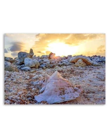 Dekoratives Leinwandbild - Muscheln und Steine | Feeby