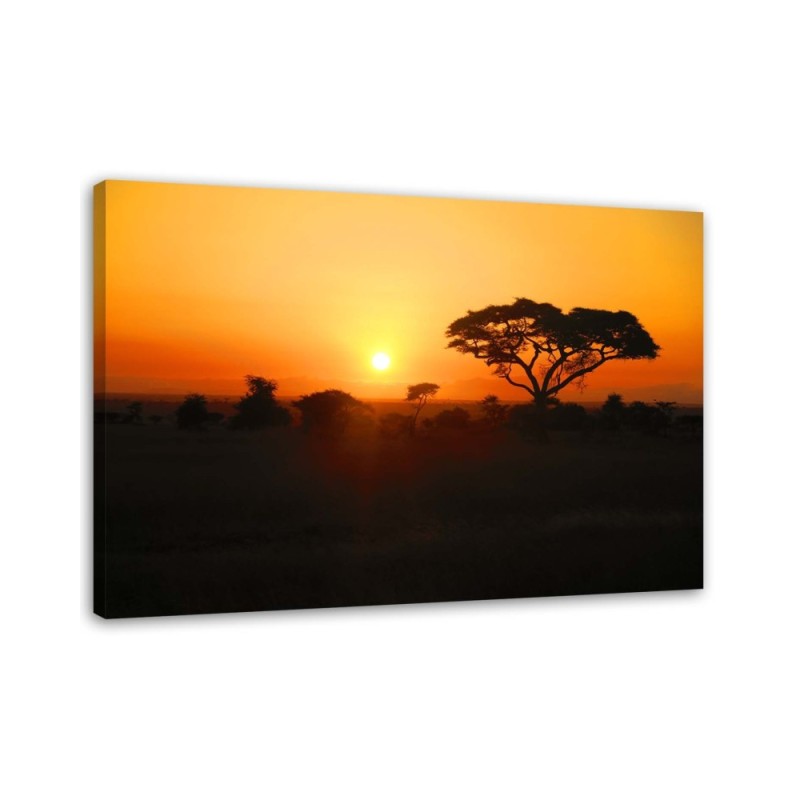 Leinwandbild - Afrikanischer Sonnenuntergang | Feeby