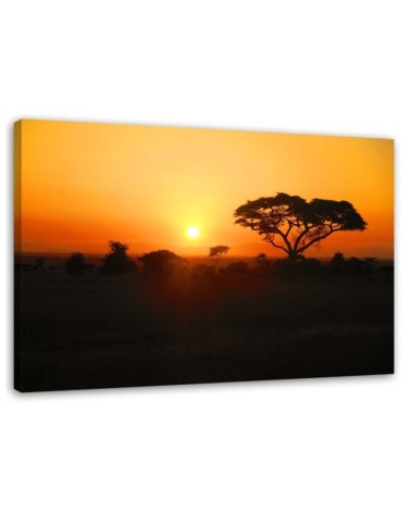 African sunset - Modern Canvas painting for living room | FEEBY