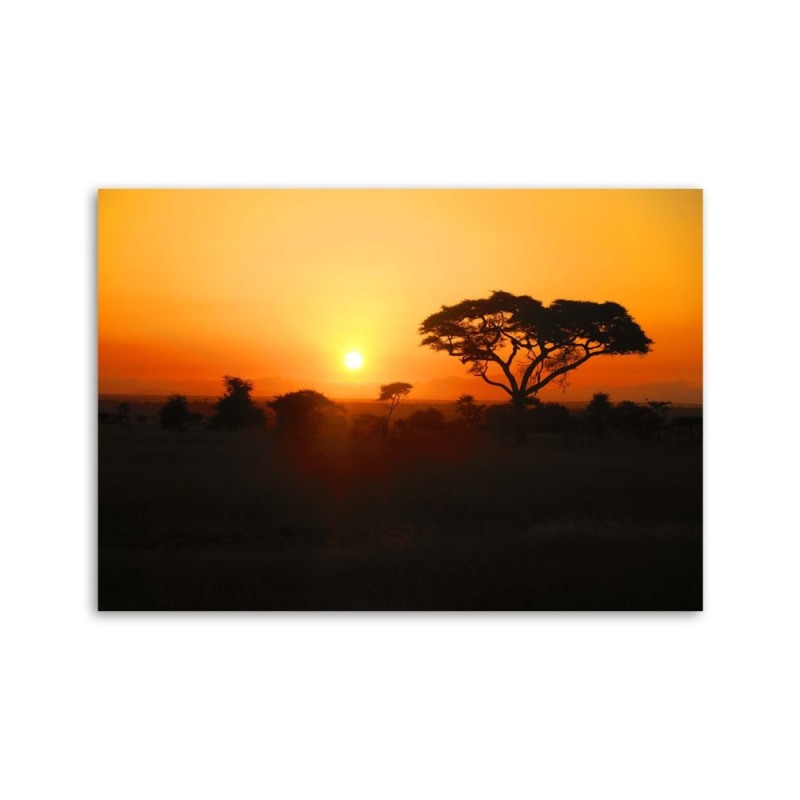 Leinwandbild - Afrikanischer Sonnenuntergang | Feeby