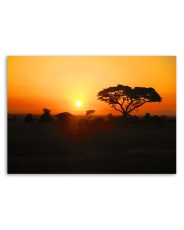 Leinwandbild - Afrikanischer Sonnenuntergang | Feeby