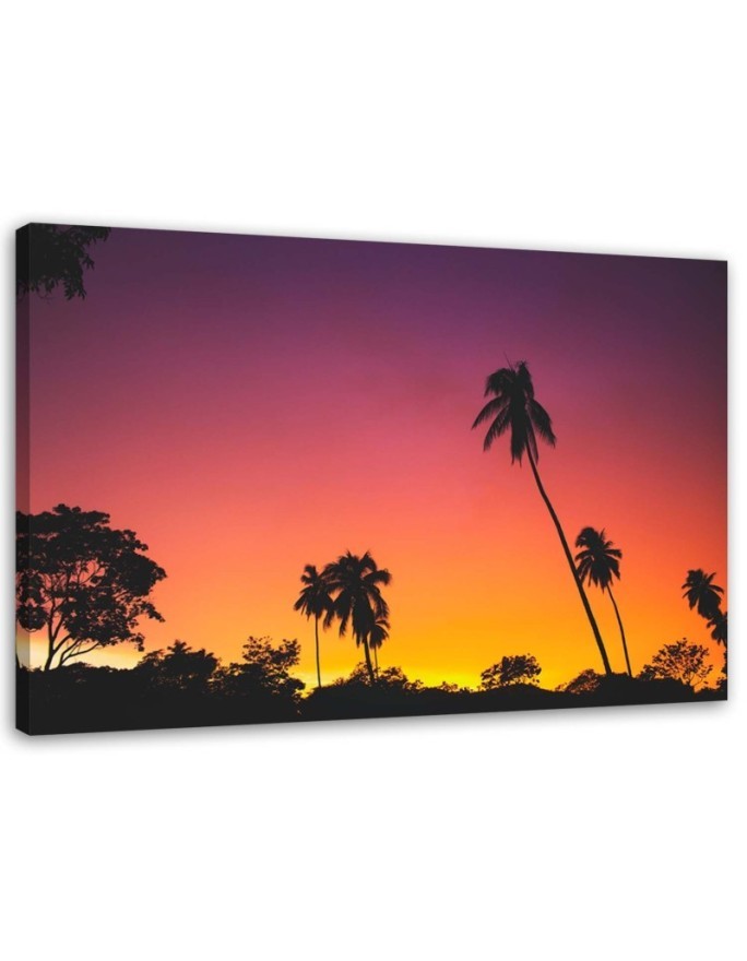 Modernes Wandbild - Rosa Himmel und Palmen | Feeby