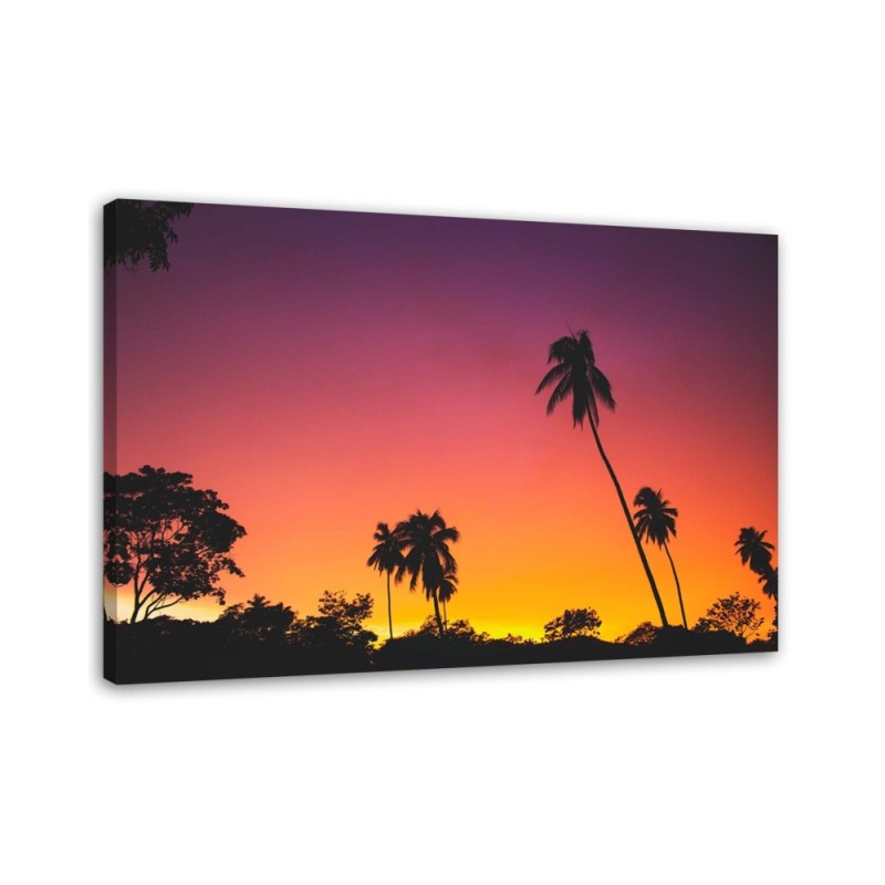 Modernes Wandbild - Rosa Himmel und Palmen | Feeby