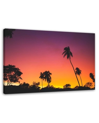Pink sky and tropical palms - Canvas prints for the living room | FEEBY