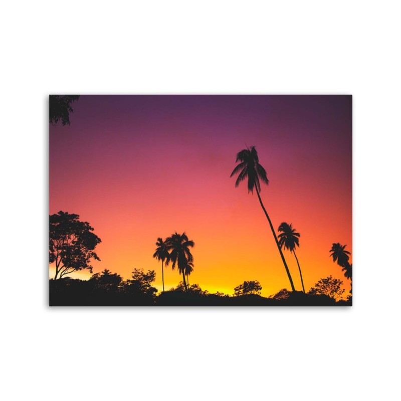 Modernes Wandbild - Rosa Himmel und Palmen | Feeby