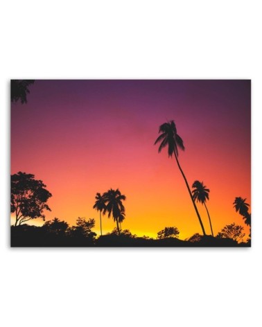 Modernes Wandbild - Rosa Himmel und Palmen | Feeby