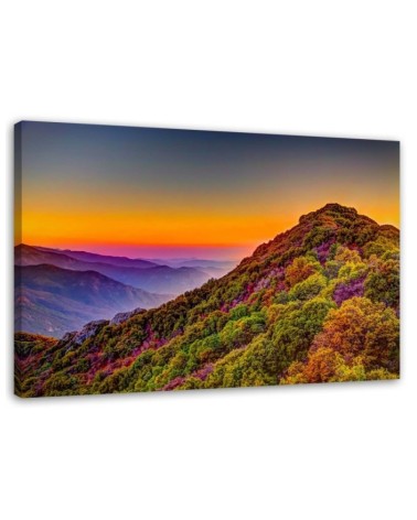 Bild auf Leinwand - Farbige Hügel | Feeby