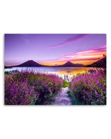 Modernes Wandbild - Violettes Paradies | Feeby