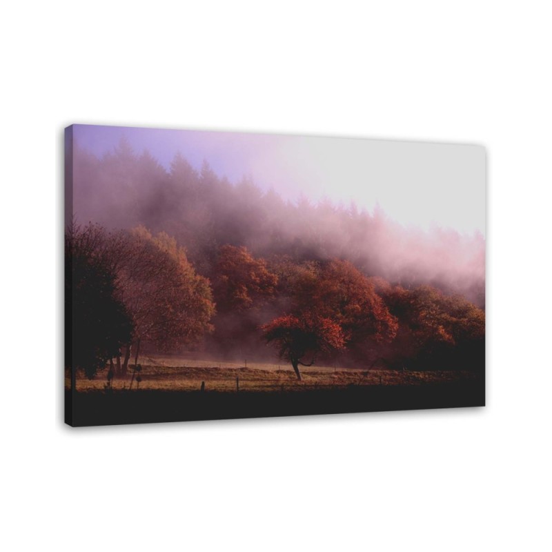 Bild auf Leinwand - Bäume im Nebel | Feeby