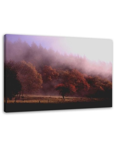 Bild auf Leinwand - Bäume im Nebel | Feeby