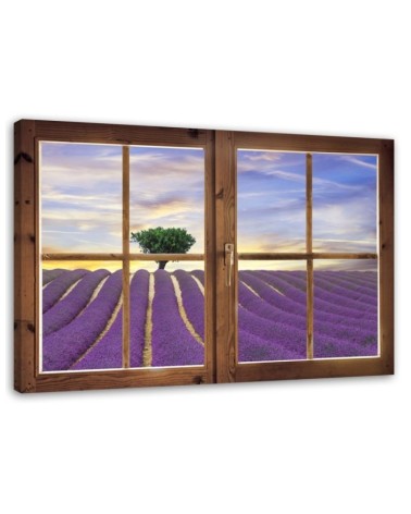 Bild auf Leinwand - Fenster - Feld mit Lavendel | Feeby
