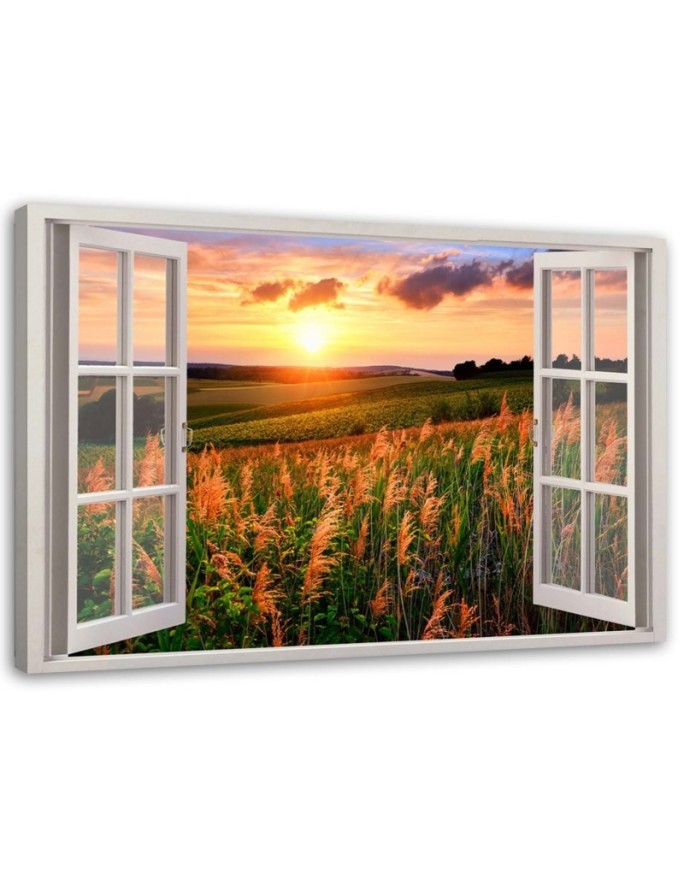 Bild auf Leinwand - Fenster - Blick auf ein Blumenfeld | Feeby