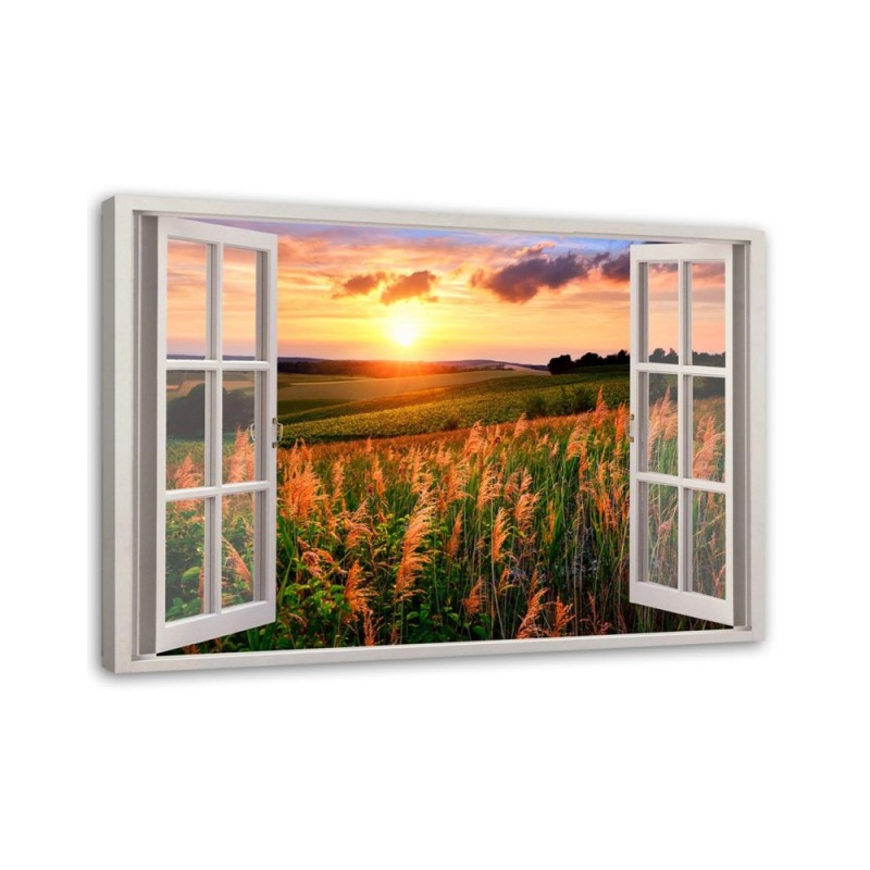Bild auf Leinwand - Fenster - Blick auf ein Blumenfeld | Feeby