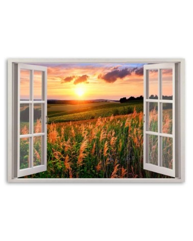 Bild auf Leinwand - Fenster - Blick auf ein Blumenfeld | Feeby