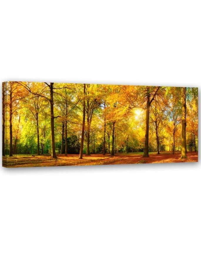 Leinwandbild - Goldener Wald 1-panel | Feeby